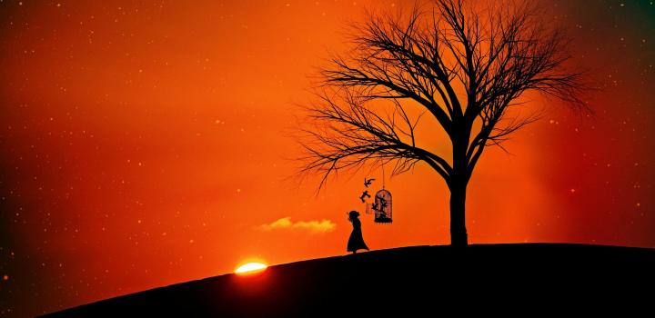 Evening Sun 2383966 1920